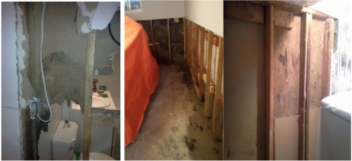 Basement Mold Removal In Southern, Basement Mold Solutions